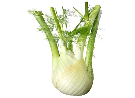 Finocchi