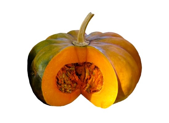 Zucca